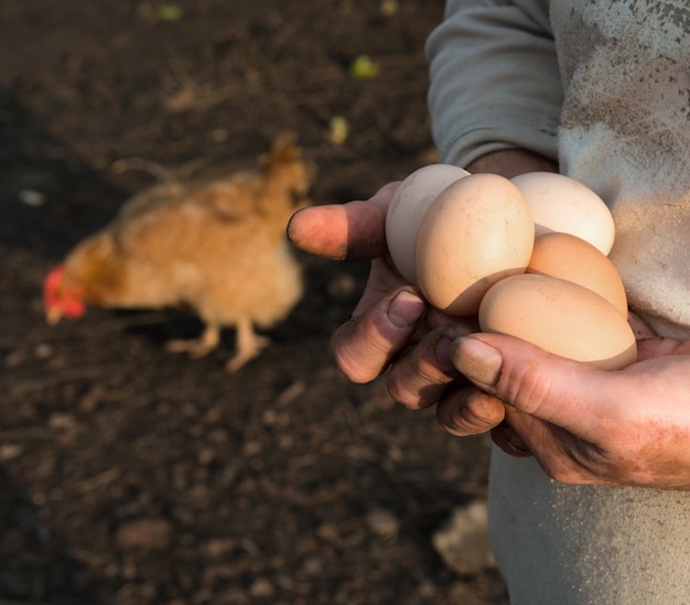 Boer met verse biologische eieren