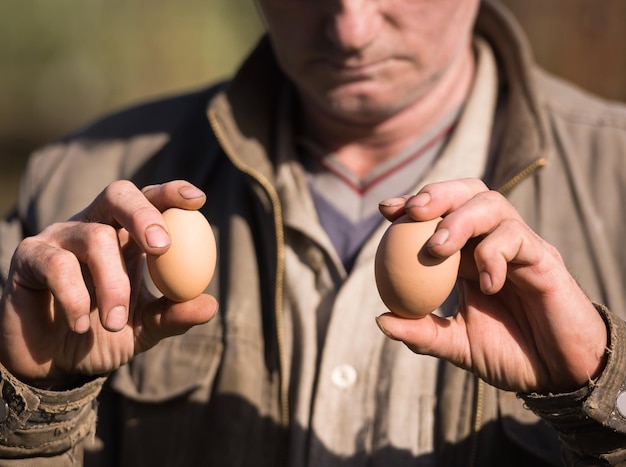 Boer met verse biologische eieren