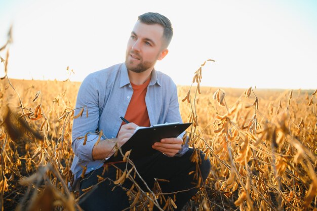 Boer of agronoom die sojabonen inspecteert