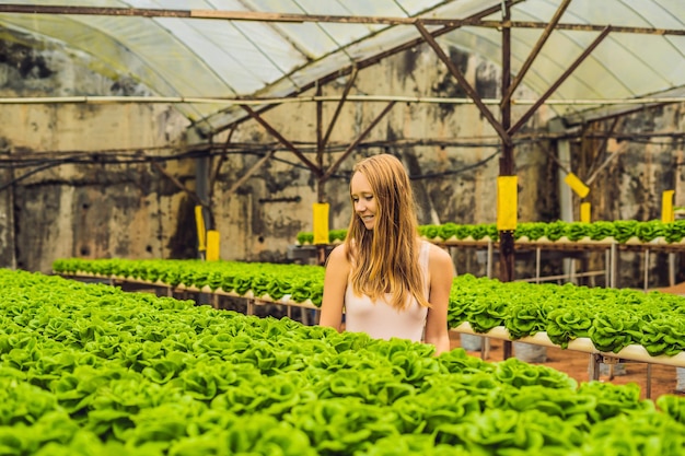 Boer onderzoek plant in hydrocultuur salade boerderij. Landbouw en wetenschapper concept