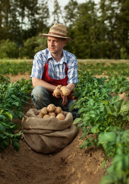 Foto boer op veldonderzoek zijn aardappeloogst