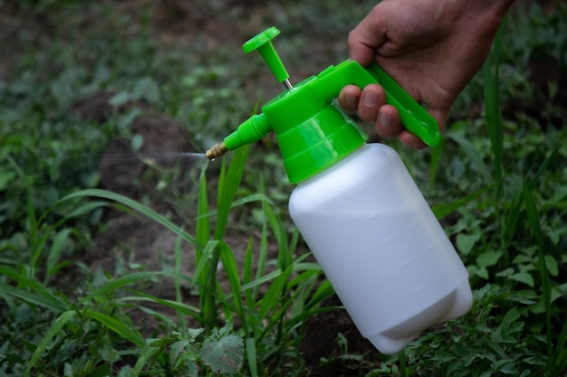 Boer sproeit onkruid in de tuin Selectieve focus