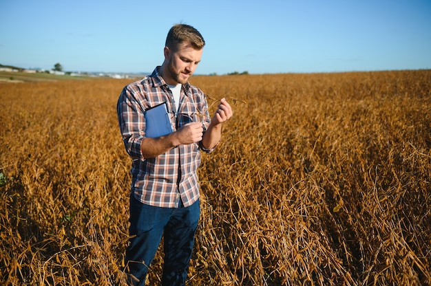 Boer staat in sojabonenveld en onderzoekt gewas bij zonsondergang.