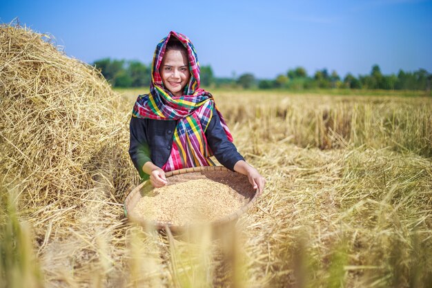 boer vrouw gedorst rijst in het veld