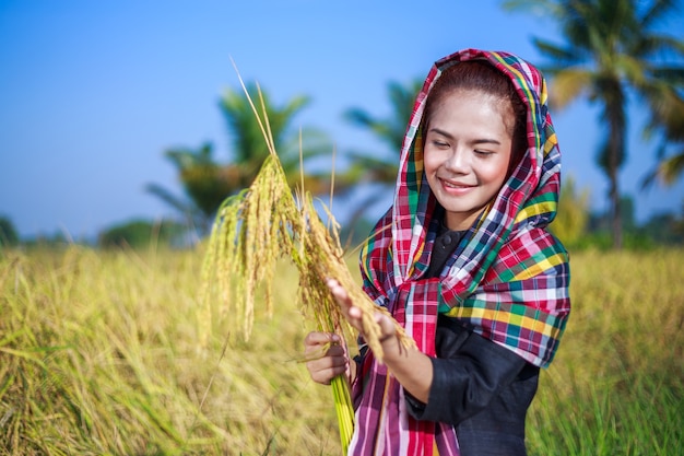 boer vrouw met rijst in het veld