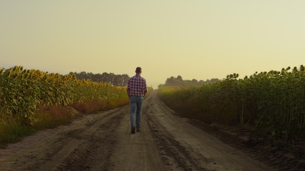 Boer wandelen veld weg achteraanzicht Agronoom inspectie zonnebloem plantage