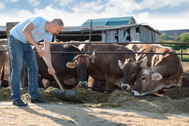 Boer werkt op de boerderij met melkkoeien