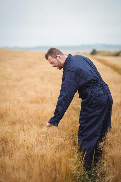 boer zijn gewassen te controleren