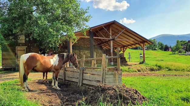 Boerderij in de bergen