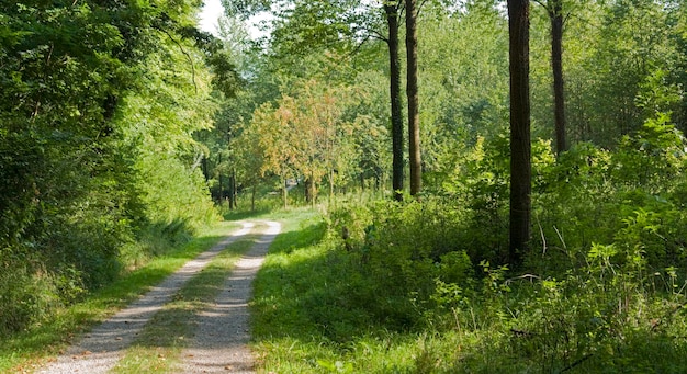 boerderij in het Liliental