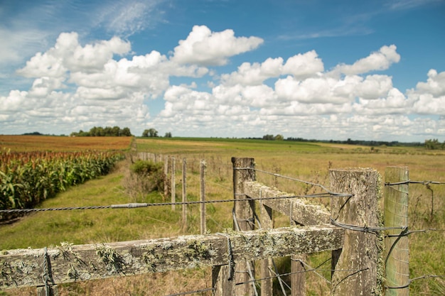 Boerderij omgeving