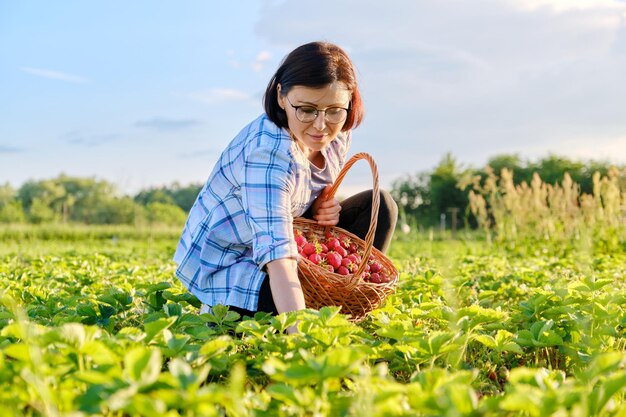 Boerderij veld met aardbeien vrouw bessen plukken met een mand