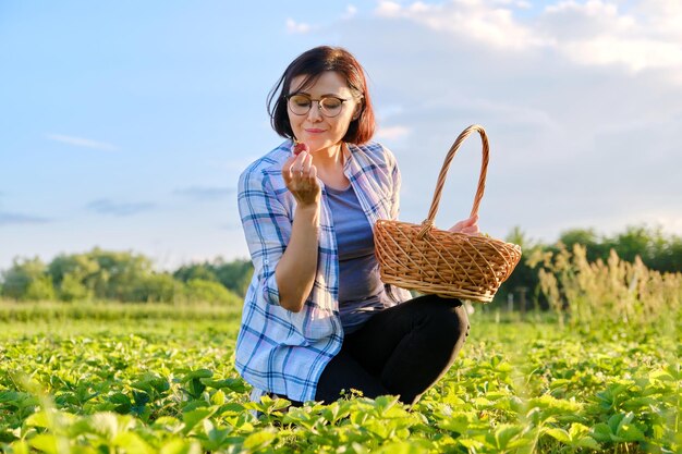 Boerderij veld met aardbeien vrouw bessen plukken met een mand