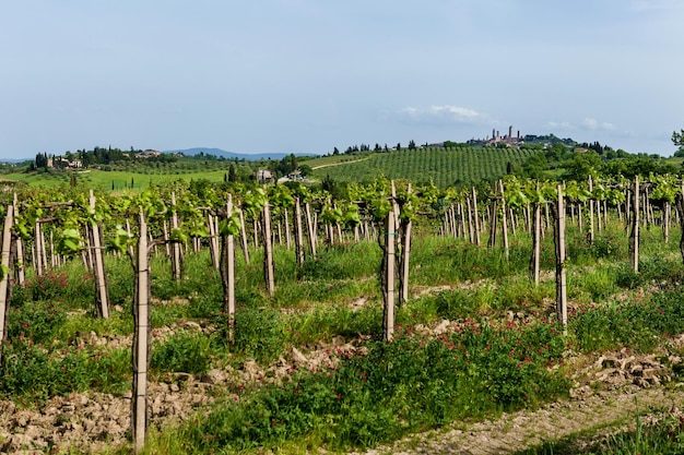 Boerderijen met wijngaarden in Italië