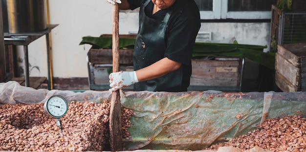 Boeren fermenteren cacaobonen om chocolade te maken.