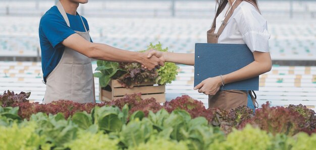 Boeren gebruiken schuifmaat om groenten te meten om hun groei te volgen in het slimme landbouwtechnologieconcept van de plantenkwekerij