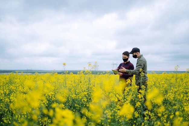 Boeren met tablet in het veld Boeren met medische maskers bespreken landbouwkwesties op het veld