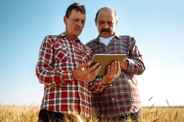 Foto boeren met tablet in het veld moderne landbouwtechnologie slim landbouwconcept