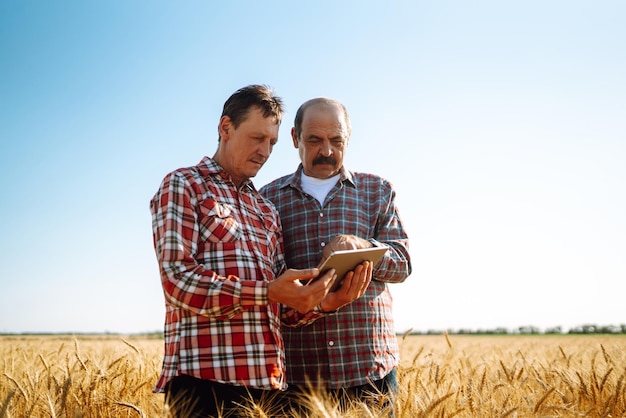 Boeren met tablet in het veld Moderne landbouwtechnologie Slim landbouwconcept