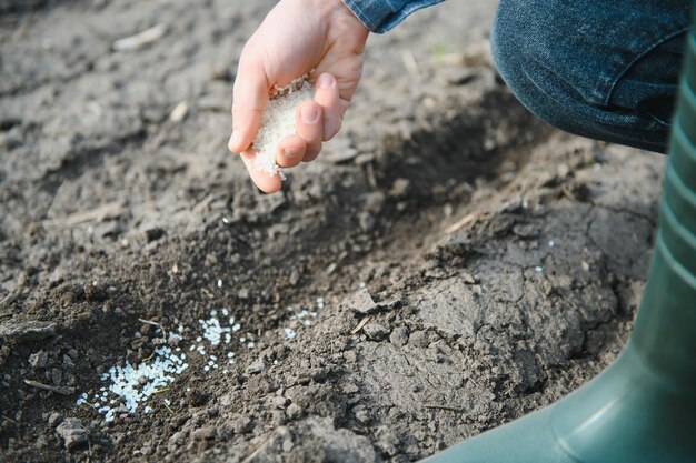 Boerenhand plant zaad in de bodem