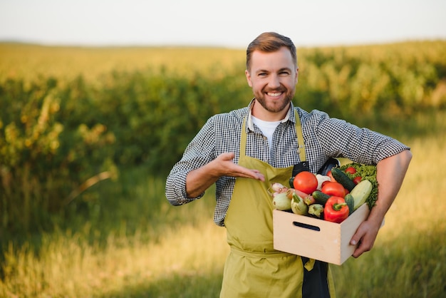 Boerenholdingbox met biologische groenten