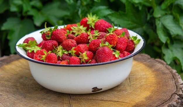 Boerenverse aardbeien in een kom