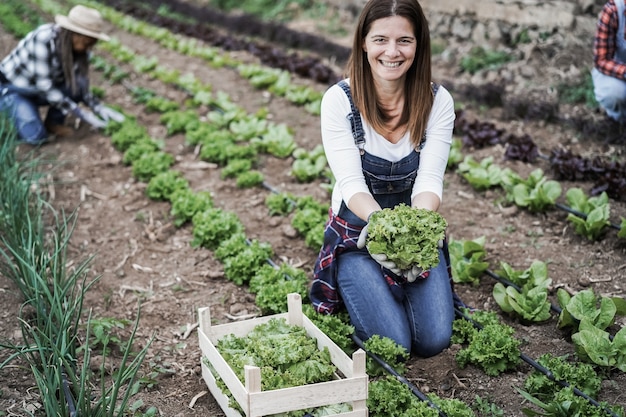 Boerenvrouw aan het werk in kas tijdens het oppakken van slaplanten