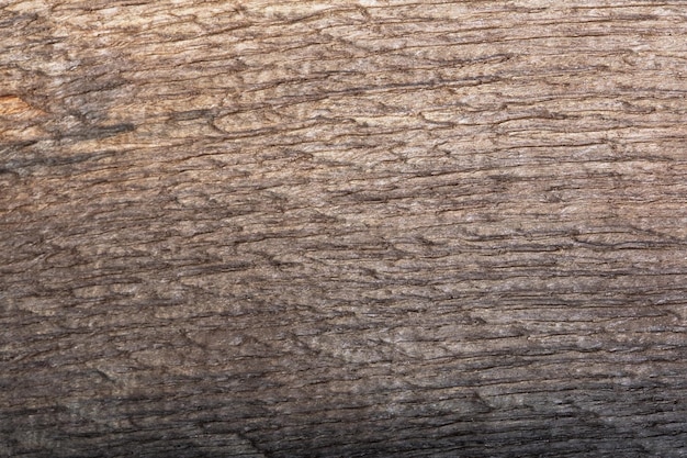 Bog oak maro texture