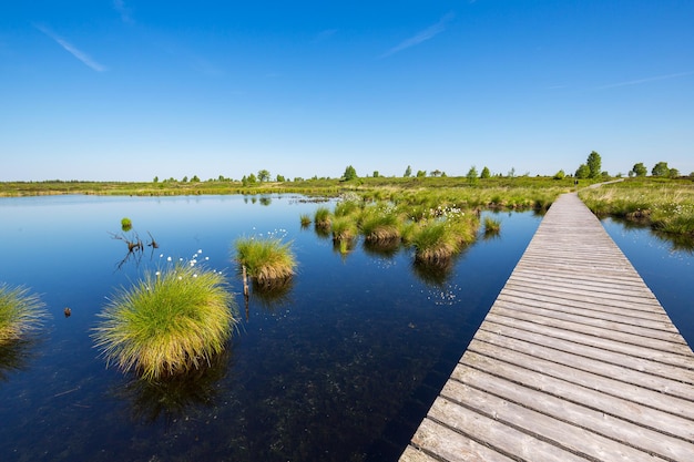 Болотный пруд в Hohes Venn Hautes Fagnes