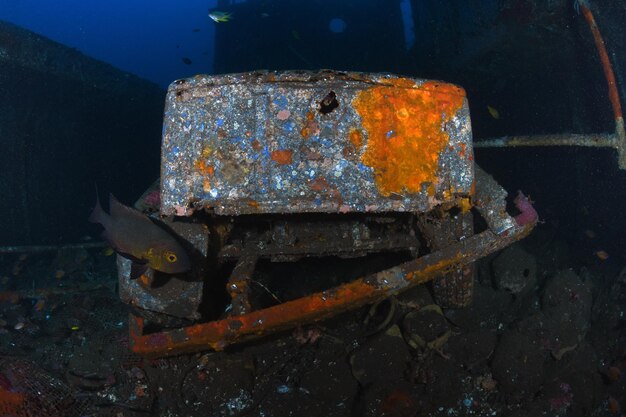 Boga-scheepswrak. Zeeleven van Tulamben, Bali, Indonesië.