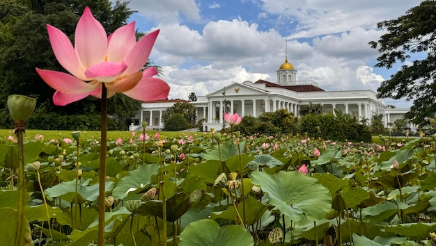 Photo bogor west java indonesia 21 april 2024 bogor presidential palace also known as the istana bogor