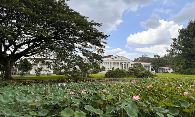 Photo bogor west java indonesia 21 april 2024 bogor presidential palace also known as the istana bogor