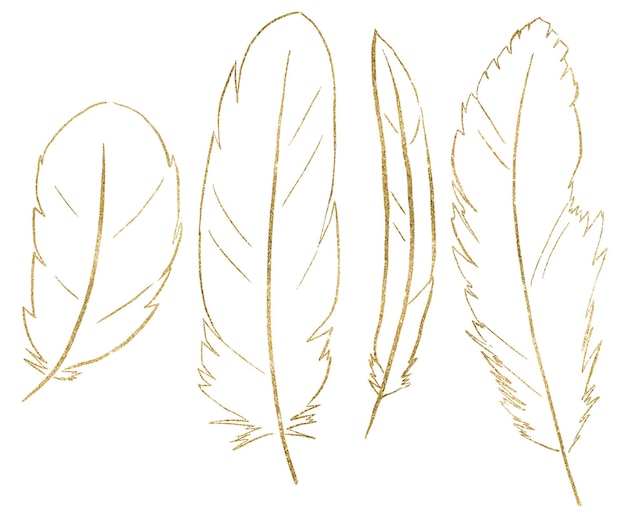 Bohemian Golden feathers outline isolated illustration natural element for wedding stationery