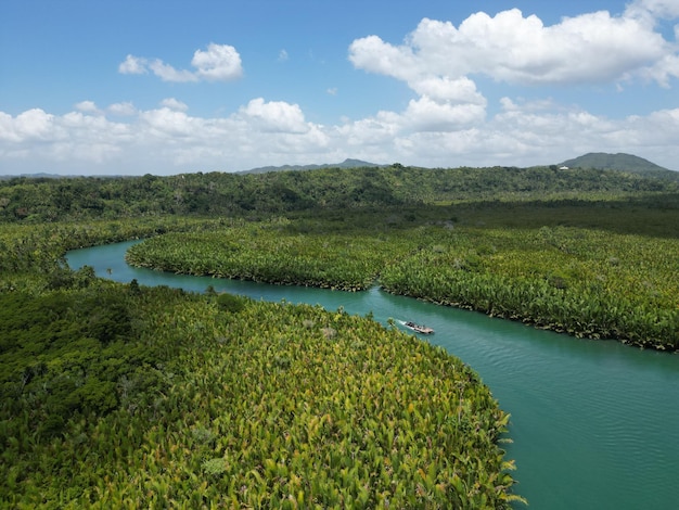 Photo bohol loboc river cruise on philippines palms cloudy sky hills