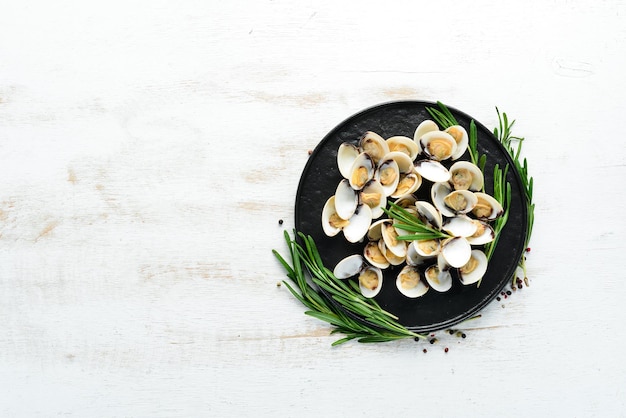 Boiled clams in a plate Seafood on a white background