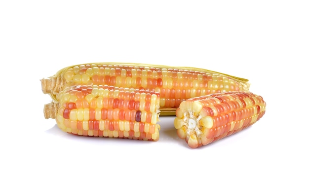 Boiled corn isolated