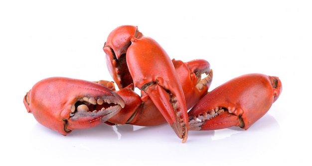 Boiled crab claws isolated on white background