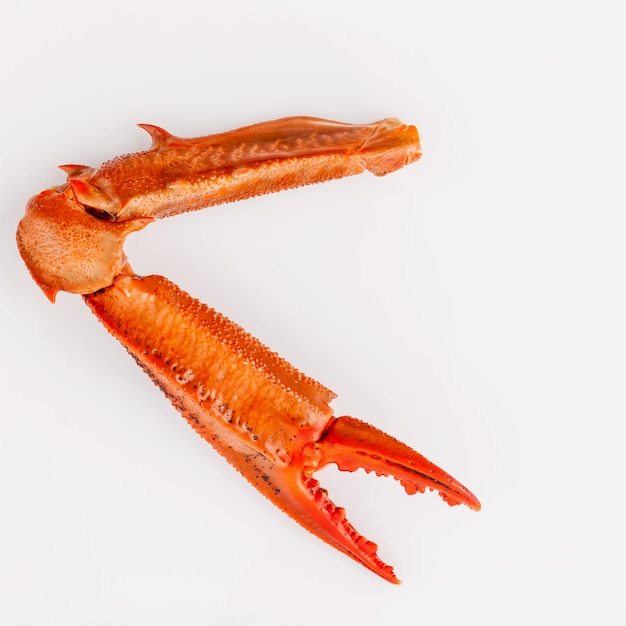 Boiled crab isolated on white background for crabs and seafood menu.