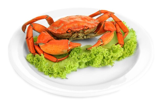 Boiled crab on white plate isolated on white