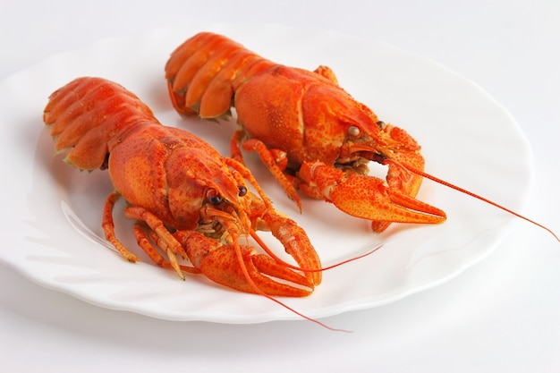 Boiled crawfish is isolated on the plate