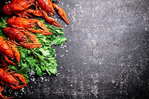 Boiled crayfish with parsley On a black background