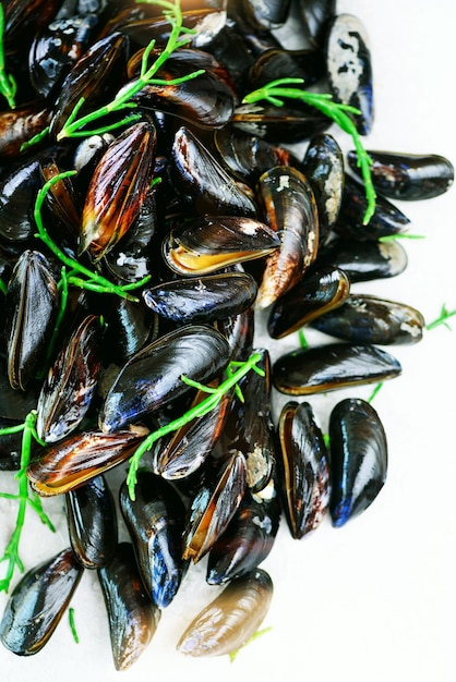 Boiled mussels with seaweed sea plants on white stone concrete background Top view copy space