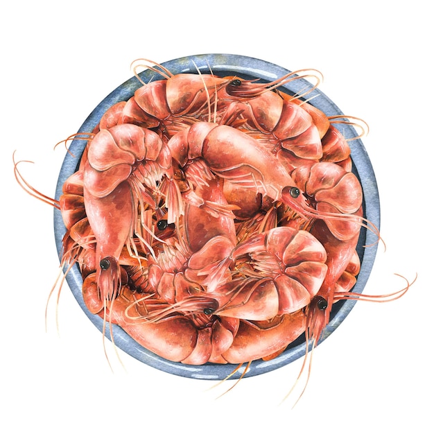 Вареные креветки в керамической посуде Акварельная иллюстрация Композиция из коллекции КРЕВЕТКИ Для оформления и оформления меню рецепты кафе рестораны магазины упаковка логотипы ценники