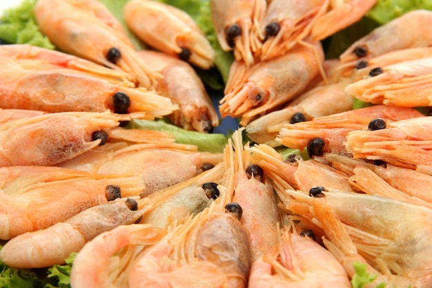 Boiled shrimps with lettuce leaves close up