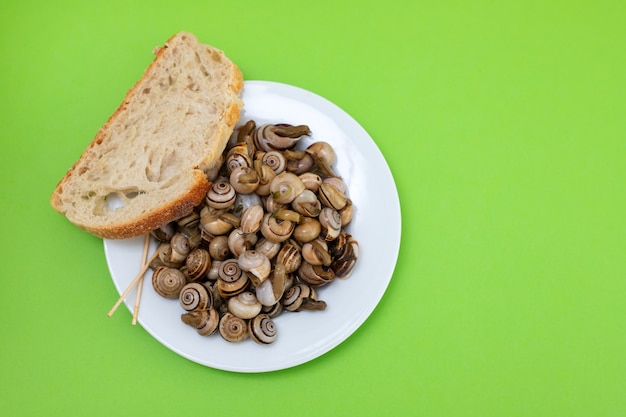 Boiled snails with bread on small white plate on green