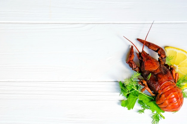 Boiled tasty river crayfish on white wooden background with fennel (dill) and lemon on the side