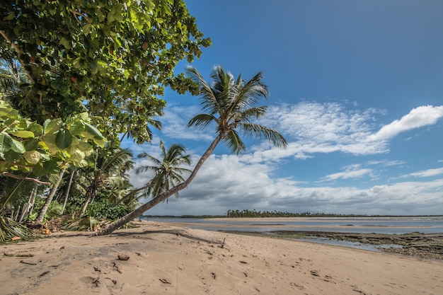 Boipeba tropisch eiland in het noordoosten van Brazilië in Bahia.