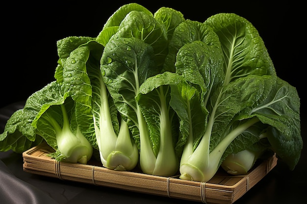 Bok Choy Asian Green Leaf Vegetable