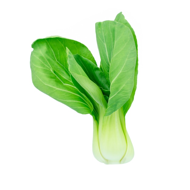 Bok choy (chinese cabbage) isolated on white