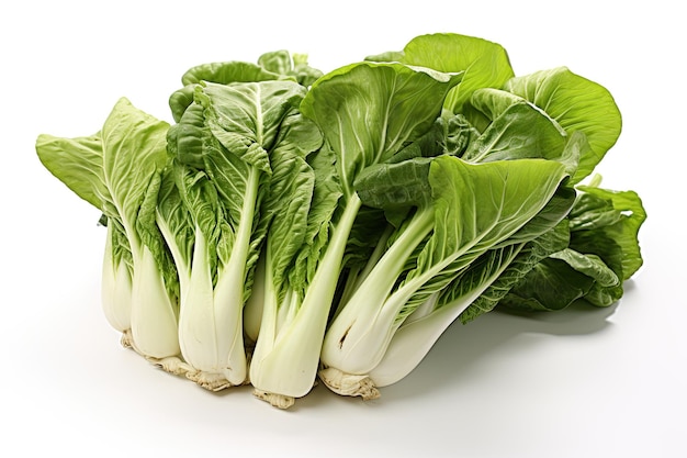 Foto bok choy o cavolo cinese isolato su bianco